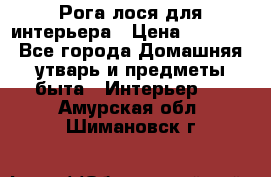 Рога лося для интерьера › Цена ­ 3 300 - Все города Домашняя утварь и предметы быта » Интерьер   . Амурская обл.,Шимановск г.